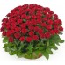 Купить букет - Цветы в корзине «Корзина из 101 розы» с доставкой по Первоуральску в интернет магазине - FLOVERMIXC.RU | по выгодной цене
